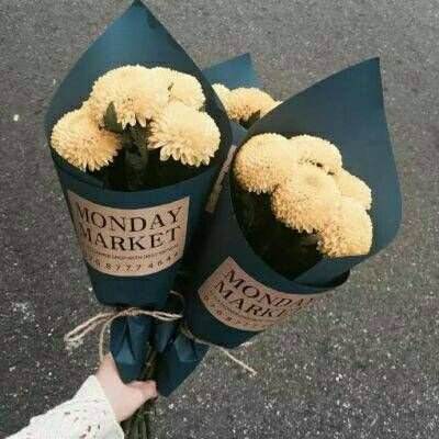 葫芦娃tv变态版下载