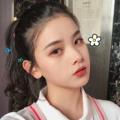 择天传果盘版下载